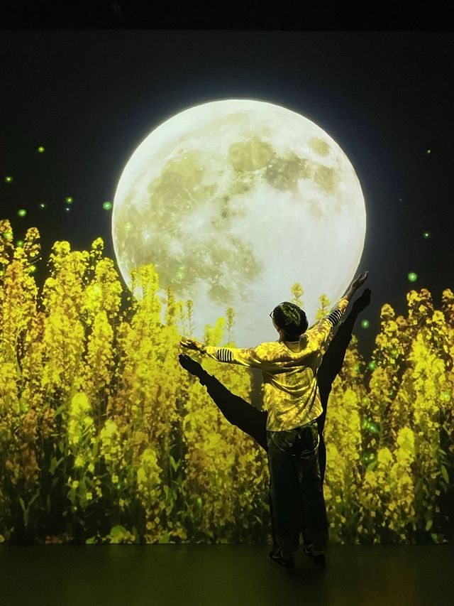 제주 실내관광지 아르떼뮤지엄✨