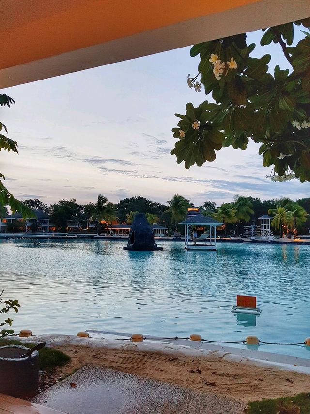 다시 떠나고싶은 휴양지 cebu🏝