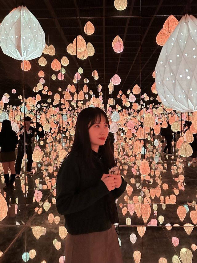 아름다운 빛의 향연 강릉 전시회 추천 [아르떼 뮤지엄 강릉]