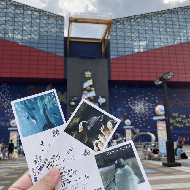 大阪 - 十年後，重遊海遊館