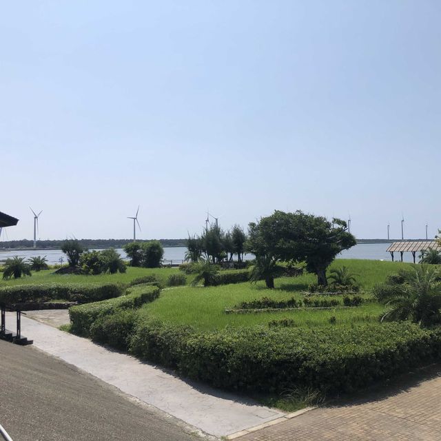 高美野生濕地保護區