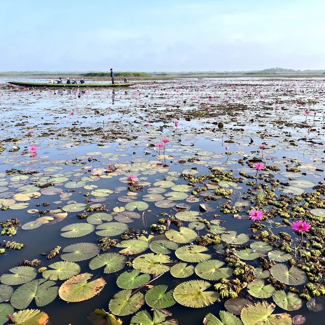 An eye-opening boat trip @ Thale Noi