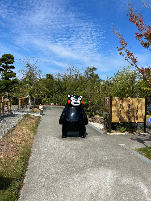 一定非常適合拍照打卡的熊本熊港八代
