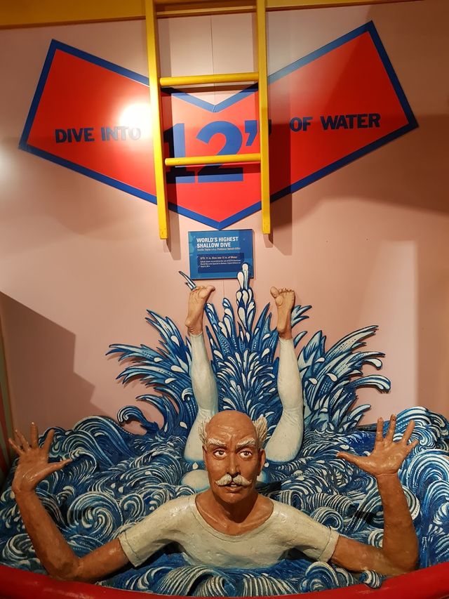 Guinness World Records Museum 🧩✨