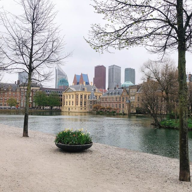 荷蘭🇳🇱海牙The Hague (Den Haag)🚶🏻‍♀️🚶🏿🚶🏻‍♂️ Hofvijver 散步看風景