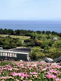 花海與歡樂童話🌺🎠🌳 國營明石海峽公園