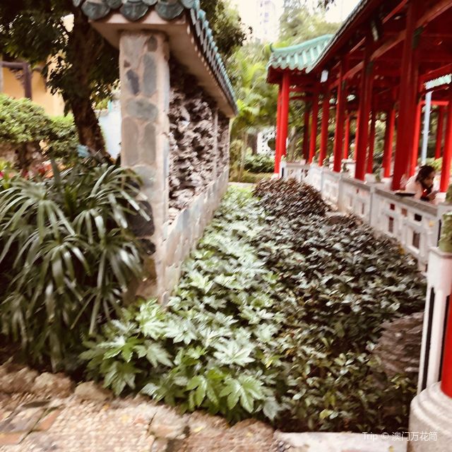        LOU LIM IOC GARDEN