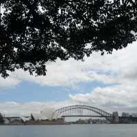 🇦🇺우리나라 겨울에 가면 더 좋은 시드니 로열 보타닉 가든스