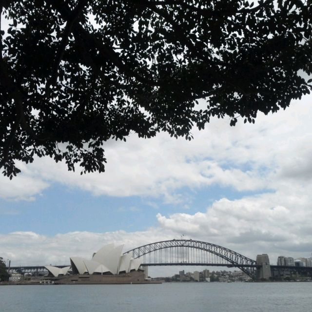 🇦🇺우리나라 겨울에 가면 더 좋은 시드니 로열 보타닉 가든스
