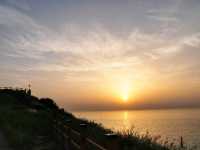 일출맛집! 수선화도 예쁜 오륙도해맞이공원🌅