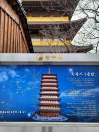 요즘 경주의 랜드마크느낌! 황룡원 중도타워🏯