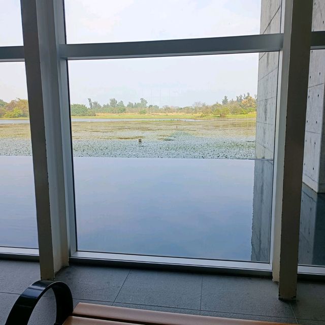 香港濕地公園