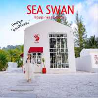 SEA SWAN - Happiness Space 