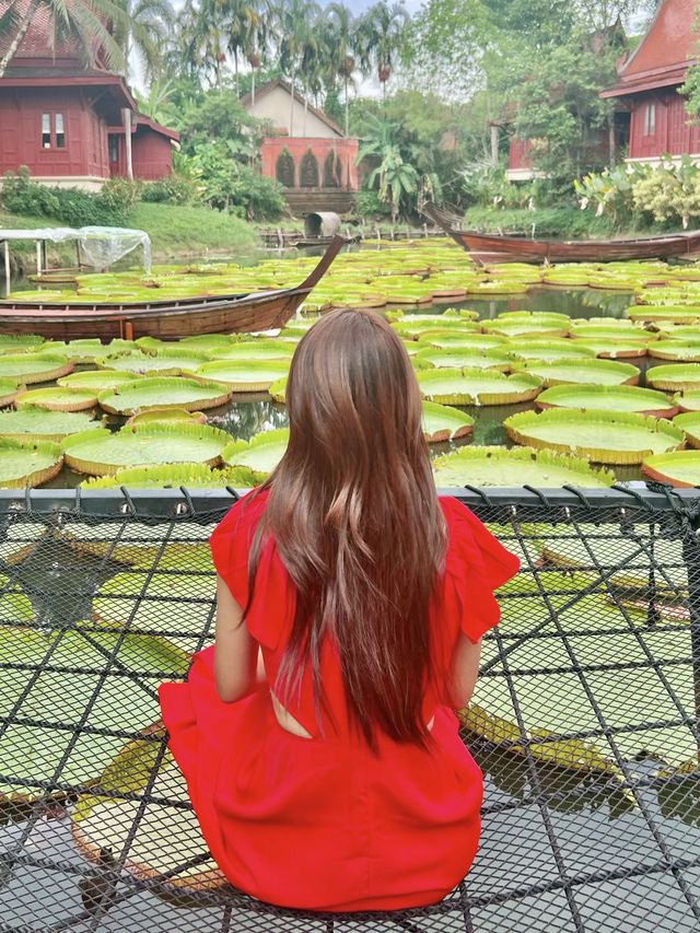 푸켓에서 모를 수 없는 핫플