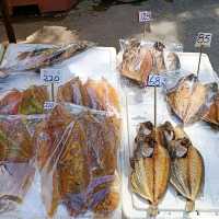 Typhoon shelter, pier and seafood