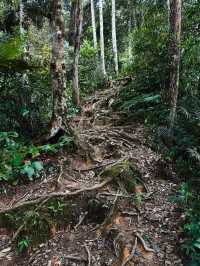 Mountain Gunung Jasar in Cameron Highlands