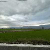 台東伯朗大道