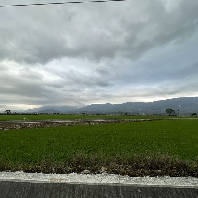 台東伯朗大道