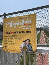 장미꽃축제 안가볼 수 없죠?