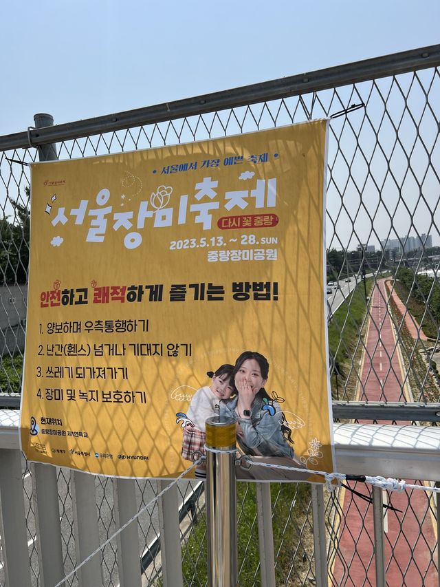 장미꽃축제 안가볼 수 없죠?