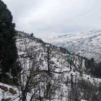 homestays in shimla