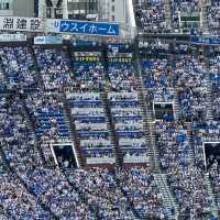 【横浜】台風一過の野球観戦・横浜スタジアム