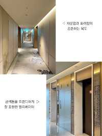 진정한 5성급 서비스를 경험할 수 있는 대구 호텔🏨