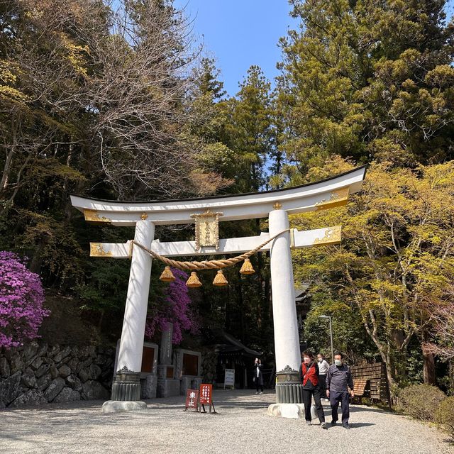 東京近郊賞櫻地推介 - 長瀞川