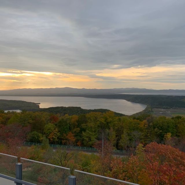 【北海道】クリオネがいっぱい！オホーツク流氷館