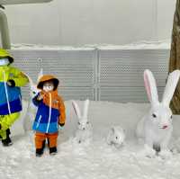 去玩雪啦！九龍出發只需50分鐘車程