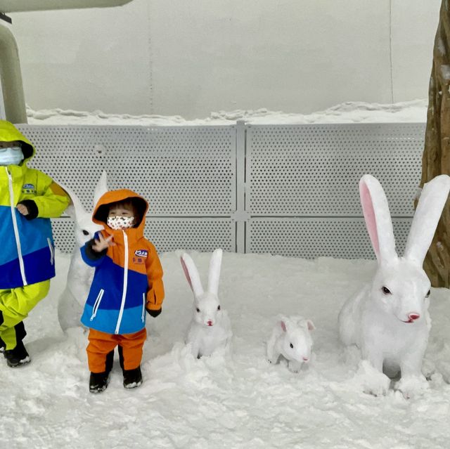 去玩雪啦！九龍出發只需50分鐘車程