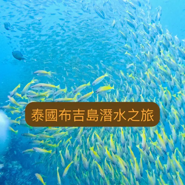 布吉島潛水之旅 🇹🇭 🤿