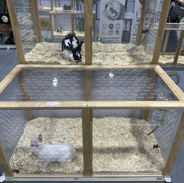 คนรักสัตว์ห้ามพลาดงาน pet expo 2023 🐕