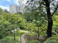 東京・北区。バラの季節には多くの品種の花が咲き誇るそうです『旧古河庭園』