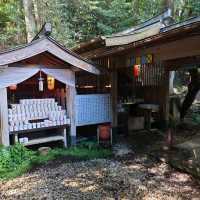 愛知旅行！恋の水神社