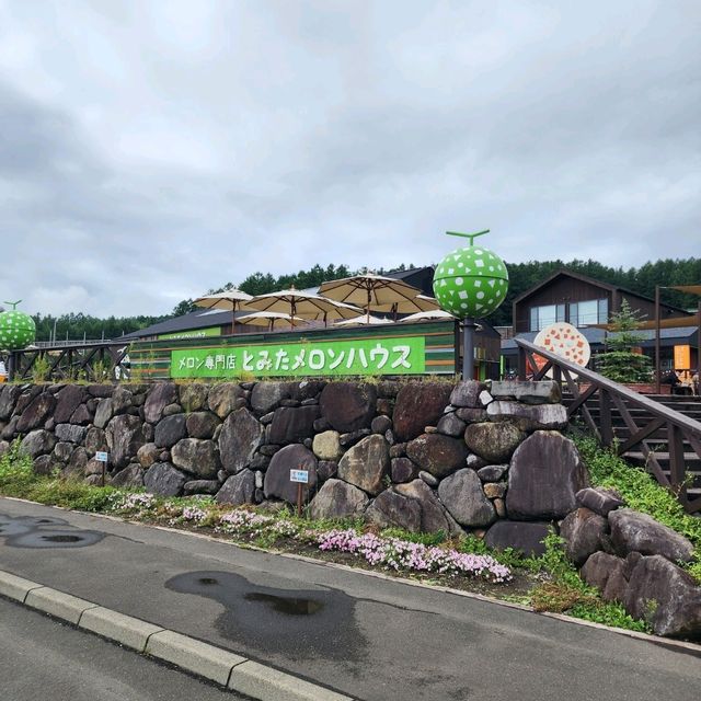 甘くて濃いメロン🍈【とみたメロンハウス】