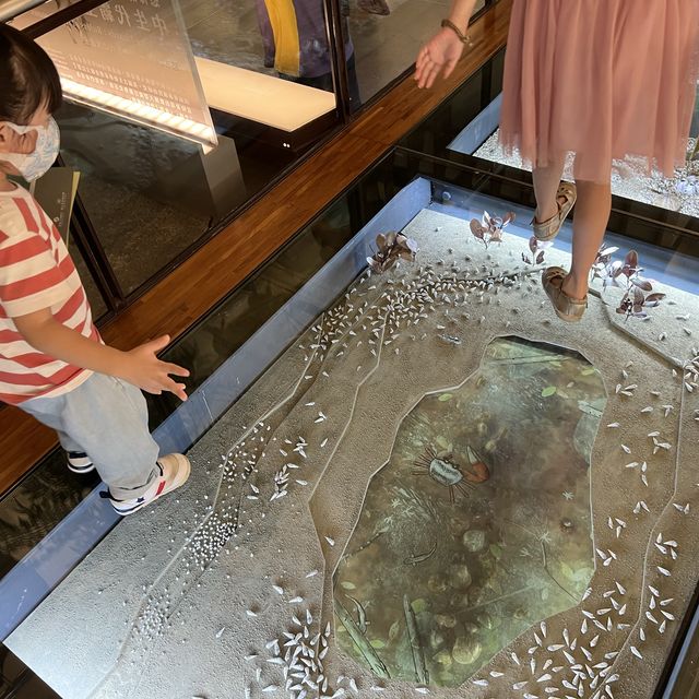 台灣博物館 古生物館 超大恐龍化石 互動導覽 好玩好充實