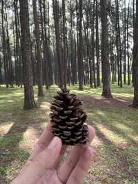 ขี่รถเครื่องออกนอกเมืองเชียงใหม่ แม่แจ่ม-ฮอด