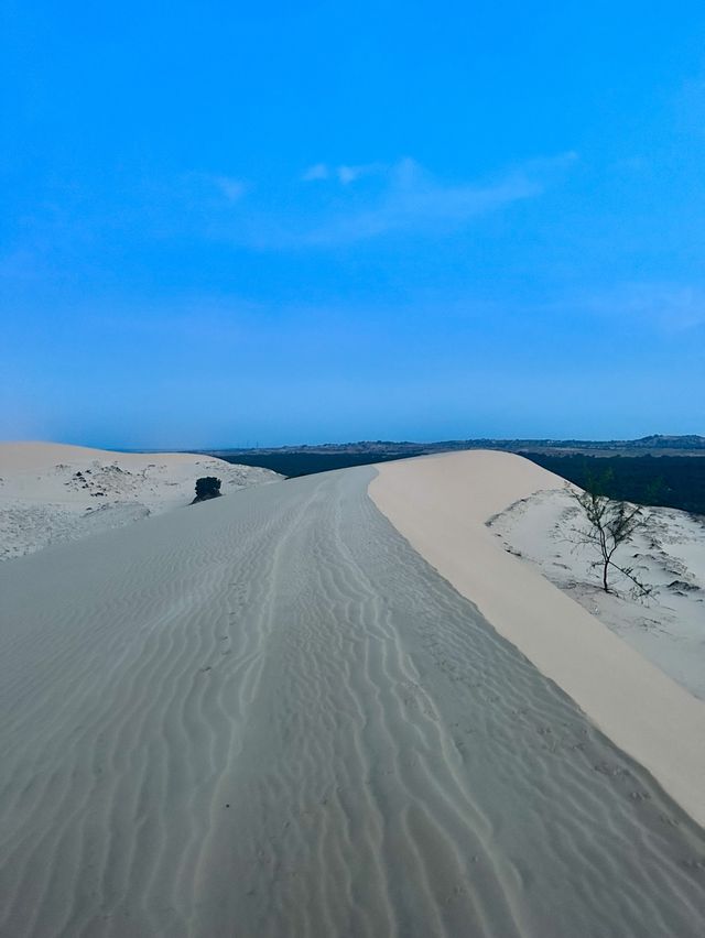 베트남 하얀 모래의 사막에서 해돋이 보기🌄