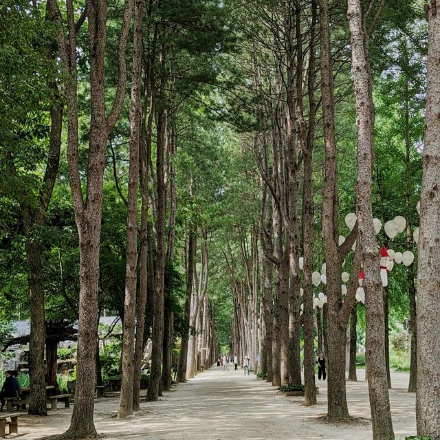 南怡島