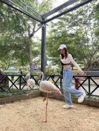 คาเมล รีพับบลิค Camel Republic ที่เที่ยวชะอำ