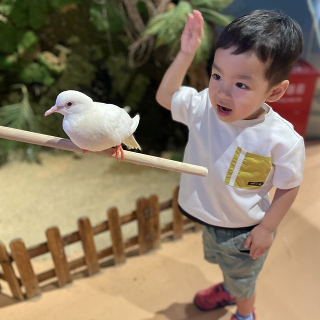 珠海好玩室內動物園