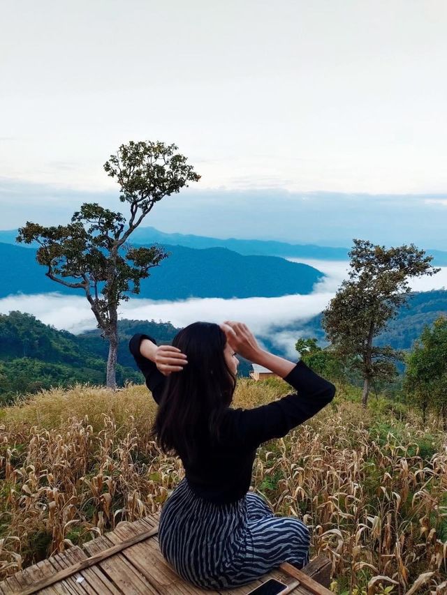 ห้วยกุ๊บกั๊บ อ.แม่แตง จ.เชียงใหม่ 🍃 