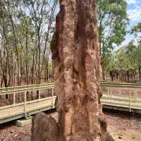 Lichfield park - Northern Territory,Australia