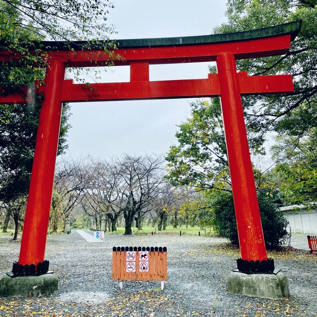 【京都府】桜の名所　平野神社