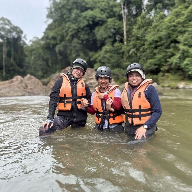 The amazing Danum Valley