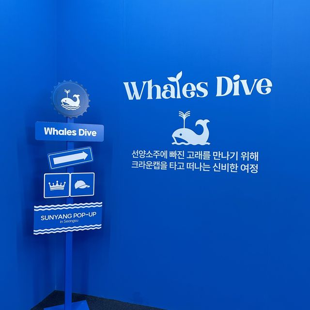 韓国の聖水洞のポップアップがすごすぎる！？