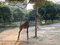 好玩的深圳野生動物園