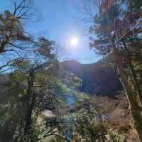 【絶景】高尾山から眺む。八王子市
