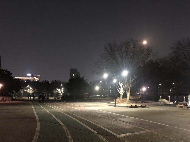 ‘밤 나들이’에도 좋은 일산 호수공원! 